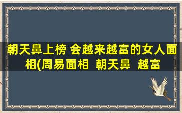 朝天鼻上榜 会越来越富的女人面相(周易面相  朝天鼻  越富越美的女性面相特征  SEO优化  30字左右)